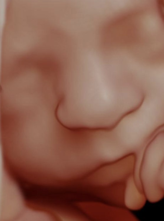 Visage 3D